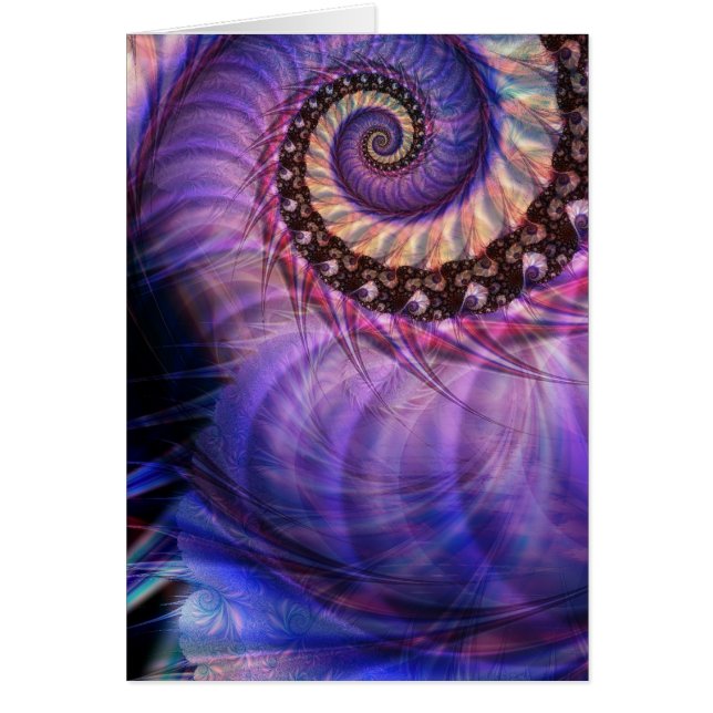 オウムガイ (正面)