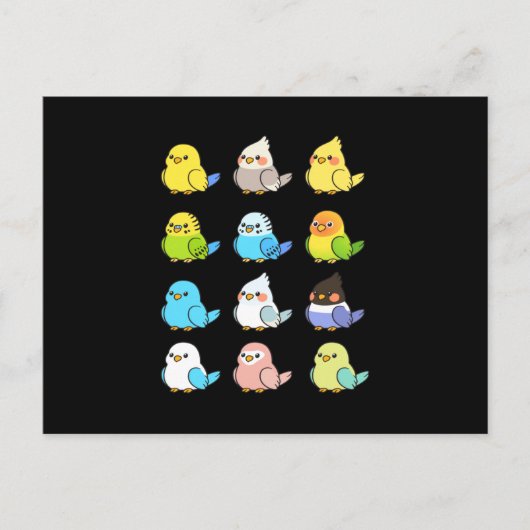 オウムキッズバードペット ポストカード (正面)