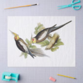 オウムコクタイエルアート 薄葉紙 (クラフト)