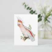 オウムヴィンテージオウム ポストカード (スタンド正面)