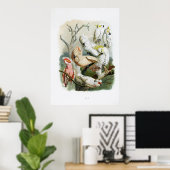 オウムヴィンテージプリントコレクション1848 ポスター (ホームオフィス)