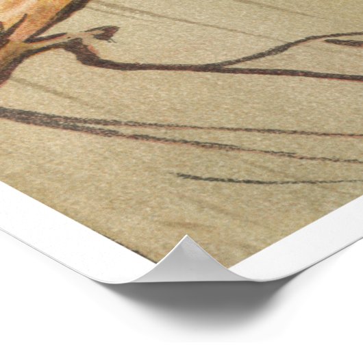 オウムヴィンテージ熱帯鳥カラフル ポスター (角)