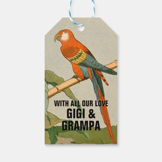 オウム動物パーティーお祝い ギフトタグ (裏面)