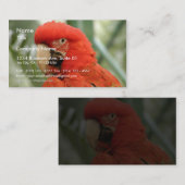 オウム動物 名刺 (正面/裏面)