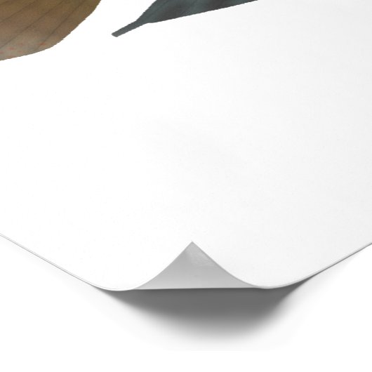 オウム市蓋 ポスター (角)