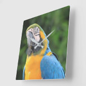 オウム時計 スクエア壁時計 (傾斜)