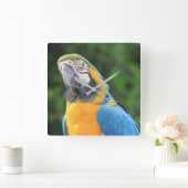 オウム時計 スクエア壁時計 (ホーム)