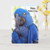 オウム母の日の折り返しグリーティングカード カード (黄色い花)