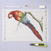 オウム熱帯鳥の切り離し 薄葉紙 (クラフト)