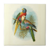 オウム熱帯鳥10 タイル (正面)