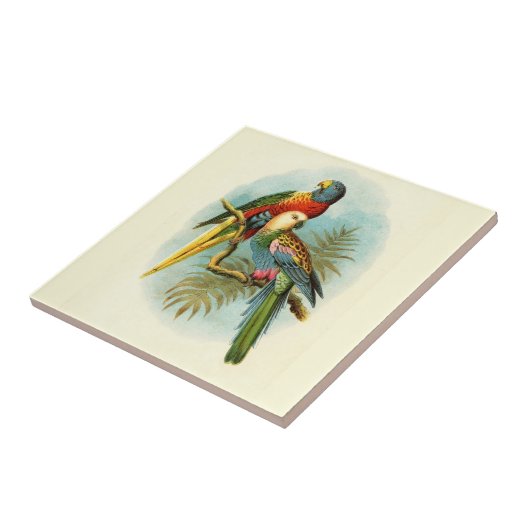 オウム熱帯鳥10 タイル (側面)