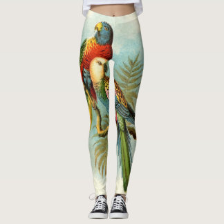 オウム熱帯鳥10 レギンス