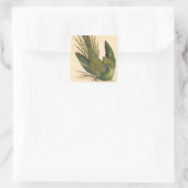 オウム病ジェームス・ソヴェルビー スクエアシール (バッグ)