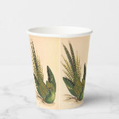 オウム病ジェームス・ソヴェルビー 紙コップ (右)