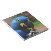 オウム病 ノートパッド (アングル)