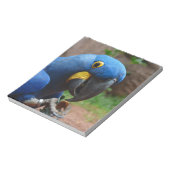 オウム病 ノートパッド (回転)