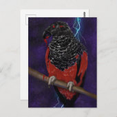 オウム病 ポストカード (正面/裏面)