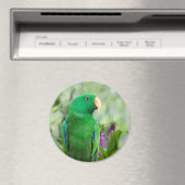 オウム病 マグネット (インサイチュ (食洗機))