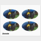 オウム病 楕円形シール (シート)