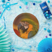 オウム紙プレート ペーパープレート (パーティー)