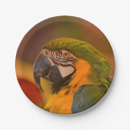 オウム紙プレート ペーパープレート