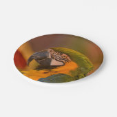 オウム紙プレート ペーパープレート (アングル)