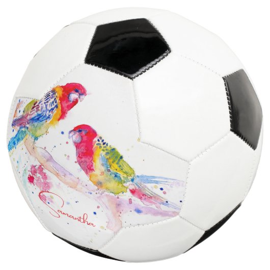 オウム絵を描アート水の色の赤カラフル青 サッカーボール (3/4)