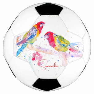 オウム絵を描アート水の色の赤カラフル青 サッカーボール