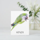 オウム絵画の水色 ポストカード (スタンド正面)