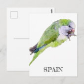 オウム絵画の水色 ポストカード (正面/裏面)