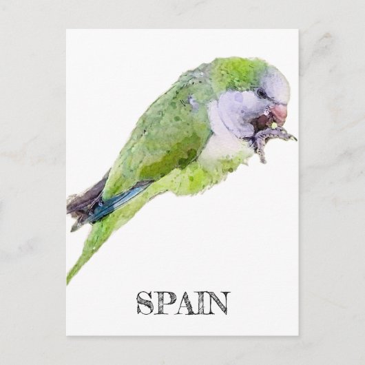 オウム絵画の水色 ポストカード (正面)