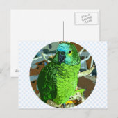 オウム緑 ポストカード (正面/裏面)