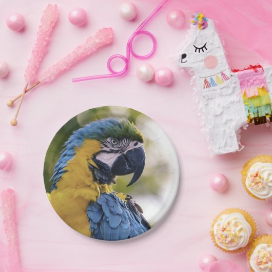 オウム縦断ポートレート写真 ペーパープレート (パーティー)