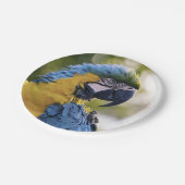 オウム縦断ポートレート写真 ペーパープレート (アングル)