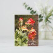 オウム考えるオレンジ ポストカード (スタンド正面)