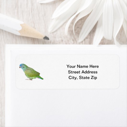 オウム青頭 ラベル (インサイチュ)