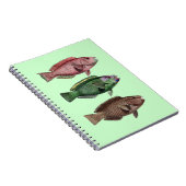 オウム魚手帳 ノートブック (右側)