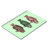 オウム魚手帳 ノートブック (左側)