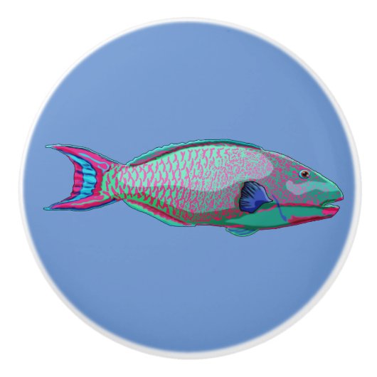 オウム魚 セラミックノブ (正面)