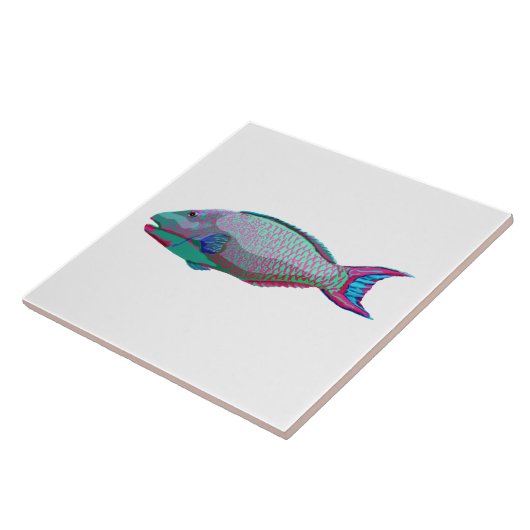 オウム魚 タイル (側面)