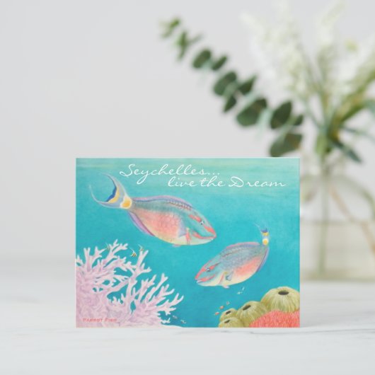 オウム魚 ポストカード (スタンド正面)