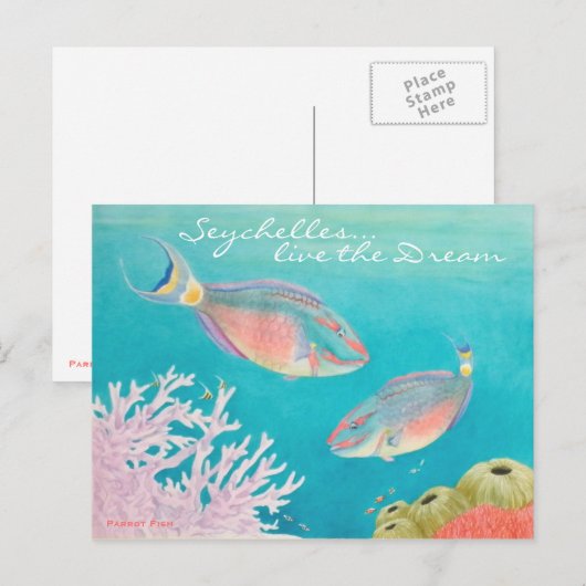 オウム魚 ポストカード (正面/裏面)