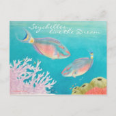 オウム魚 ポストカード (正面)