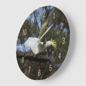 オウム鳥オウム鳥の羽を飛ぶオーストラリア ラージ壁時計 (傾斜)