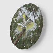 オウム鳥オウム鳥の羽を飛ぶオーストラリア ラージ壁時計 (傾斜)