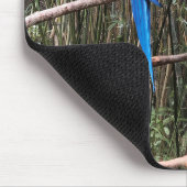 オウム鳥トロピカルフォトマウスパッド マウスパッド (コーナー)