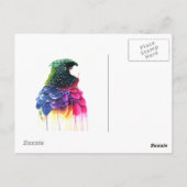 オウム鳥抽象芸術油絵 ポストカード (裏面)