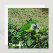 オウム (正面/裏面)