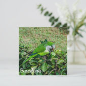 オウム (スタンド正面)