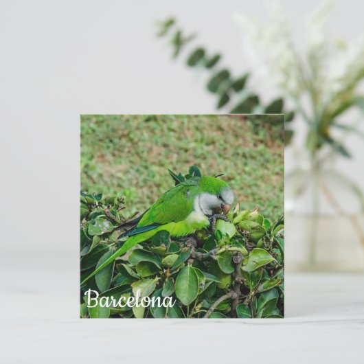 オウム (スタンド正面)